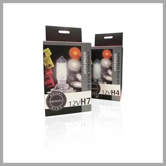 Set de becuri de rezervă | 24V H4 W98410
