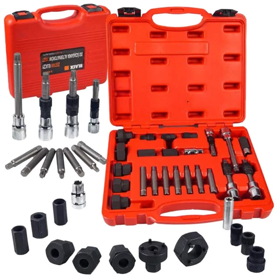 Set de chei pentru alternator Black, 25 piese - 14026