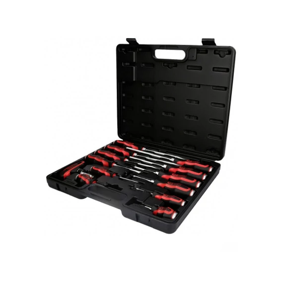 Set de șurubelnițe F Tools, 12 piese, Ftools-12reszes