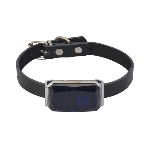 GPS tracker pentru animale de companie - holm1070