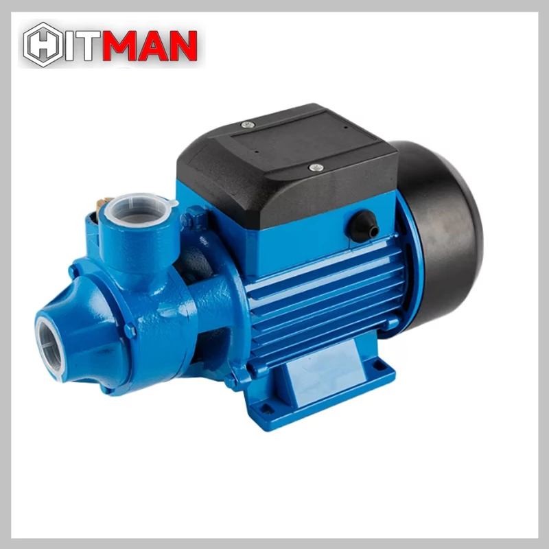 Hitman pompă de uz casnic, pompă mică de grădină 1100W HT-GWP-6811 QB60
