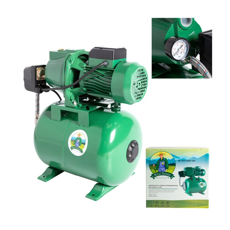 Pompă de apă autoamorsantă din fontă, 1,5 kW, GF-1473